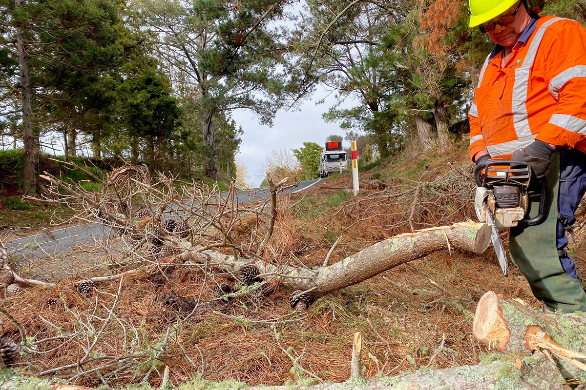 Man holding chainsaw, standing over tree branches on road side. 