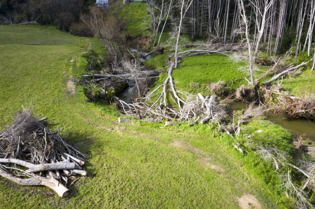 File:Northland hills.jpg - Wikimedia Commons