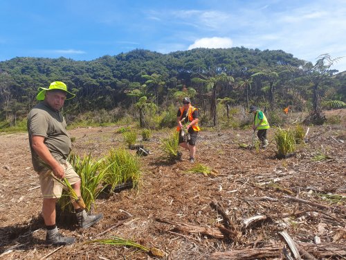 Work continues down at Mangawhai Community Park 