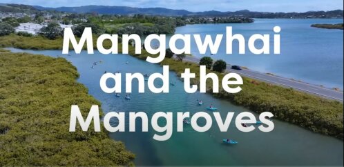 Mangawhai and the Mangroves